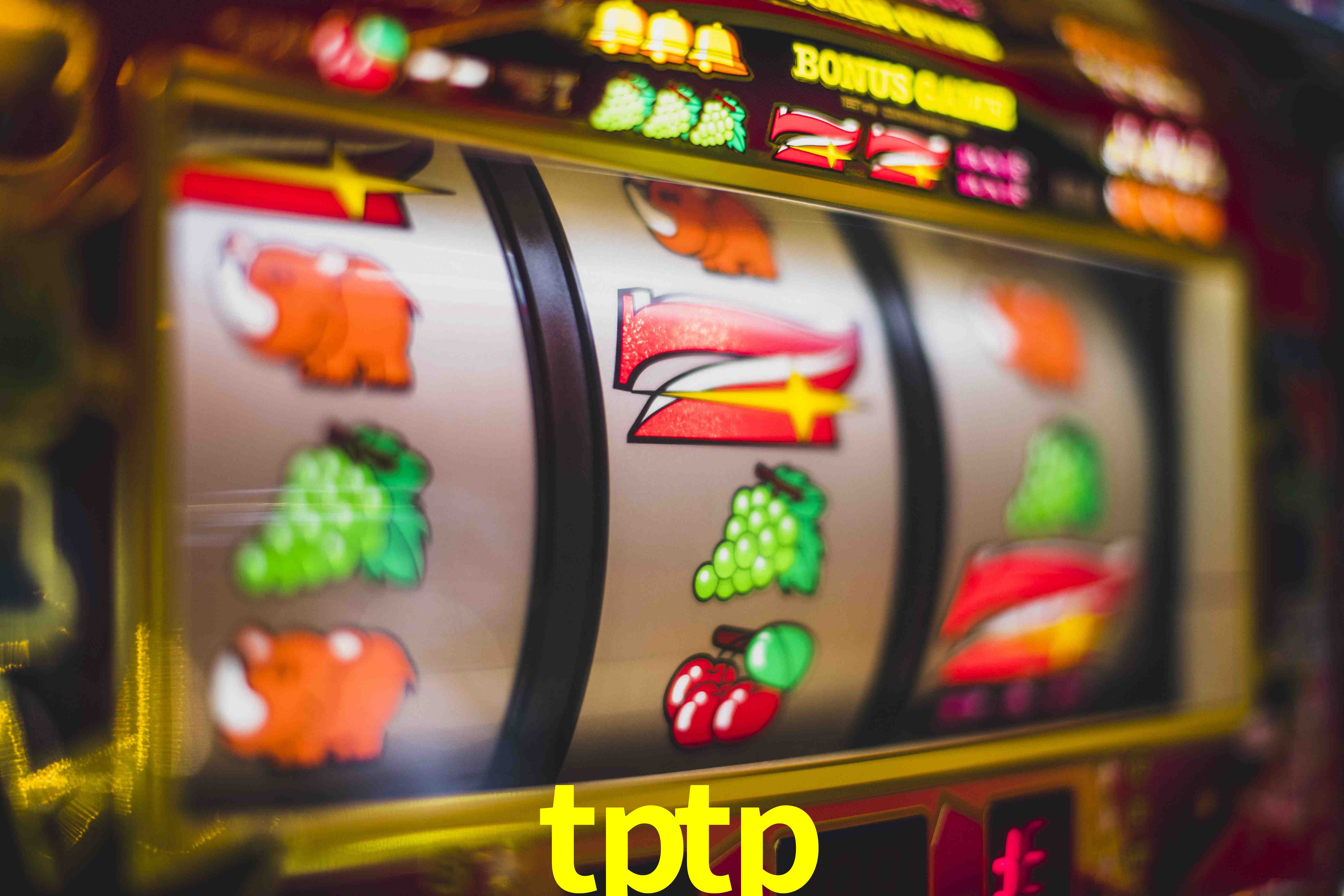 Experiência VIP tptp